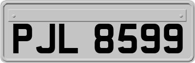 PJL8599