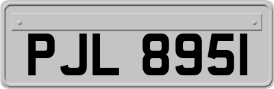 PJL8951