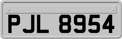 PJL8954