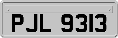 PJL9313
