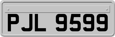 PJL9599