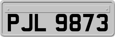 PJL9873