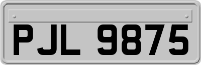 PJL9875
