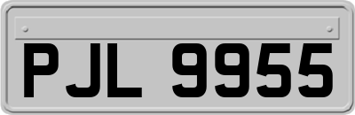 PJL9955