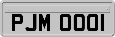 PJM0001