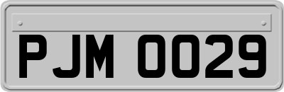 PJM0029