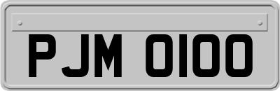 PJM0100