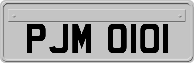 PJM0101