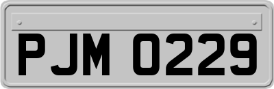 PJM0229