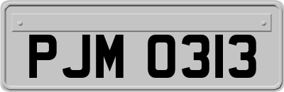 PJM0313