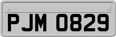PJM0829