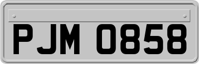 PJM0858