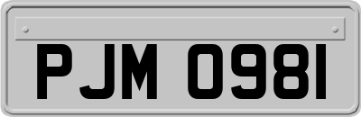 PJM0981