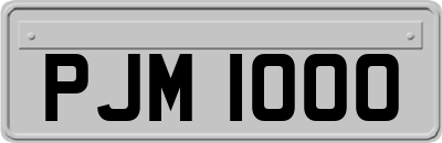 PJM1000