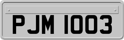 PJM1003