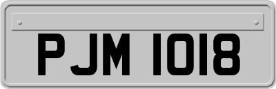 PJM1018