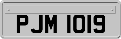 PJM1019