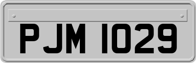 PJM1029