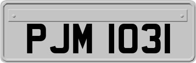 PJM1031