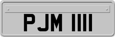 PJM1111