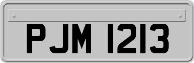 PJM1213