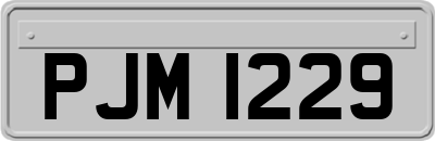 PJM1229
