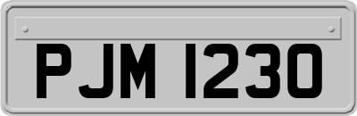 PJM1230