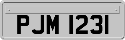 PJM1231