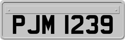 PJM1239