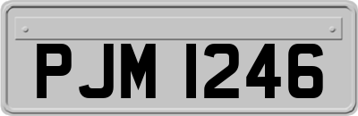PJM1246