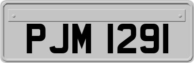 PJM1291