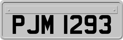 PJM1293