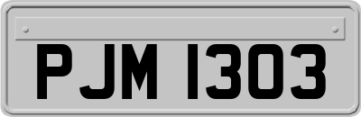 PJM1303