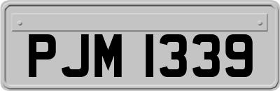 PJM1339