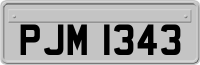 PJM1343