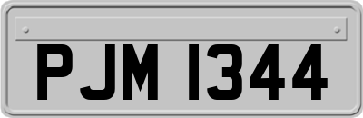 PJM1344