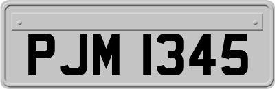 PJM1345