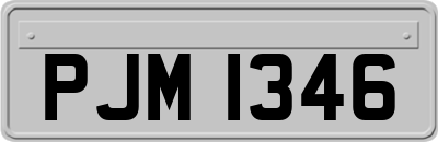 PJM1346