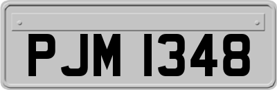 PJM1348