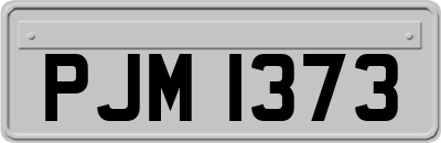 PJM1373