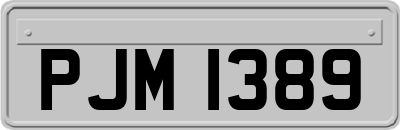 PJM1389