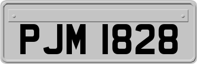 PJM1828