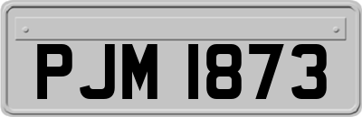 PJM1873