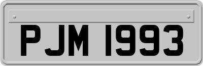 PJM1993