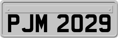 PJM2029