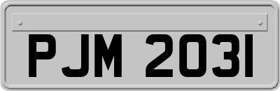 PJM2031