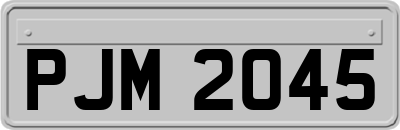 PJM2045