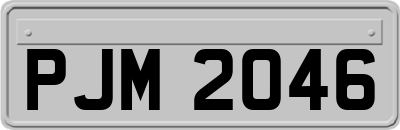 PJM2046