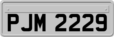 PJM2229