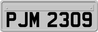 PJM2309